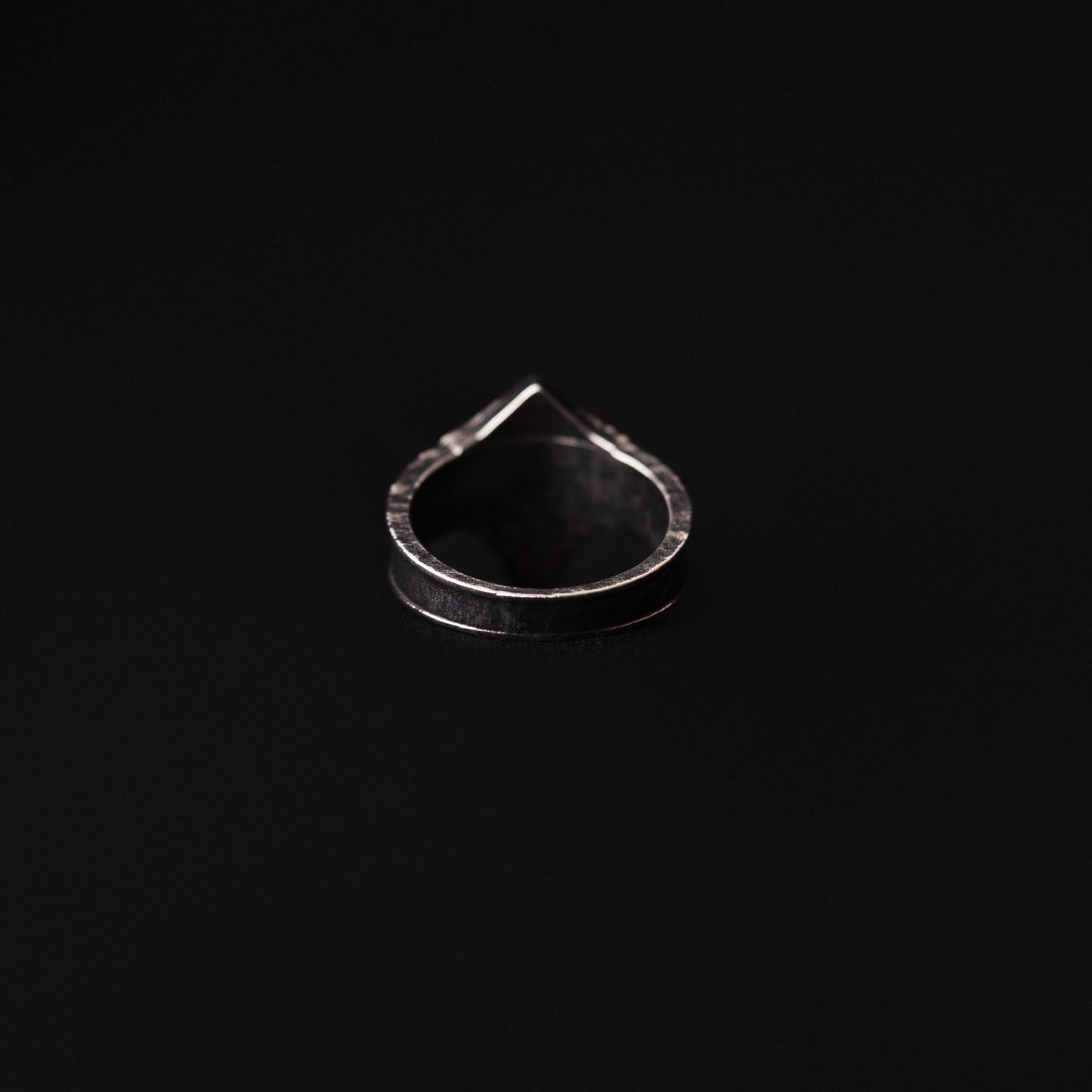 Forgotten Warden Ring